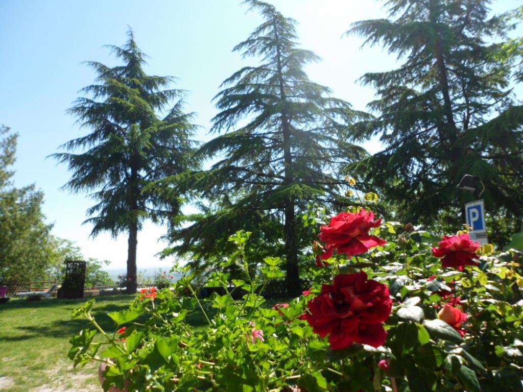 Agriturismo La Quiete Roncofreddo Εξωτερικό φωτογραφία