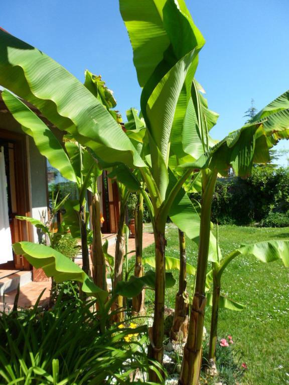 Agriturismo La Quiete Roncofreddo Εξωτερικό φωτογραφία
